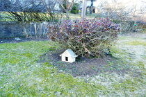 House For Gnomes.