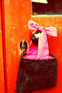 Fuzzy <3: Freakin' Bows Bag
