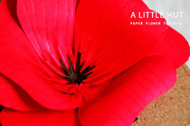 Paper Flower