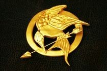 Mockingjay Pin