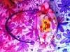 Small_photo_1_