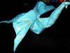 Small_sam_0190