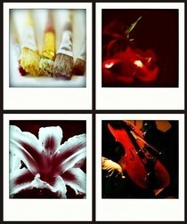 Poloroid Style Photo Edit