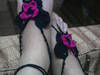 Small_snc00535