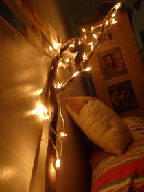 String Of Lights Tree Branch