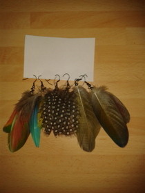 Diy Fashion Feather Earrings!!!