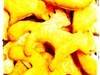 Small_img_0396
