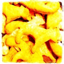Animal Shaped Vegan Friendly Cookies