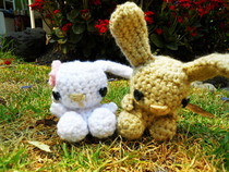 Crochet Bunnys 