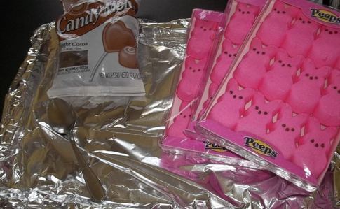 Chocolate Covered Peeps