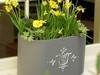 Flower Filled Windowbox