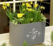 Flower Filled Windowbox