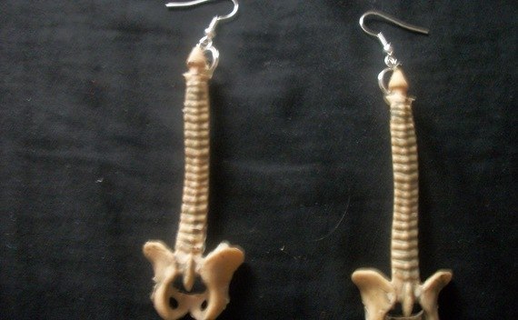 Spine Earrings