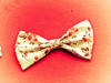 Small_dscn0309