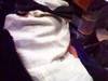 Small_plain_tux_plus_collar
