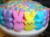 Small_dsc01607