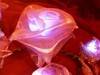 Small_ribbon_rose