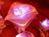 Glowing Ribbon Roses