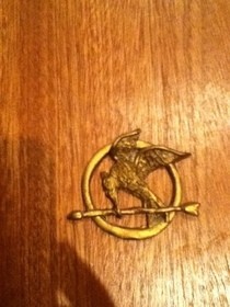 Hunger Games Pin