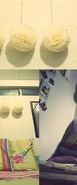 Superstar_cats-1
