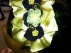 Small_new_ones_037