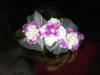 Small_headbands_001
