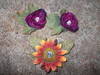 Small_dscf2766