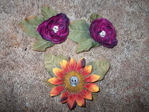 Dead Flowers