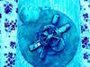 Small_photo0331
