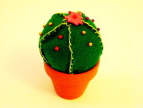 Cactus Pincushion