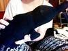 Small_photo_on_2012-04-17_at_23.31__3