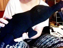 Niffler!