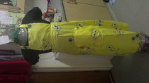 Sponge Bob Apron