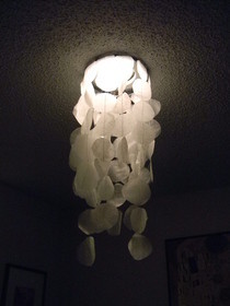 Faux Capiz Shell Lamp
