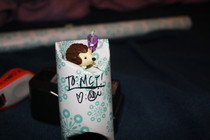 Upcycled Tp Rolls
