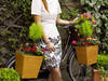Recycled Bicycle Planter