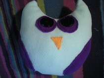 A Baby Owl