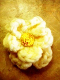 Crochet Brooches