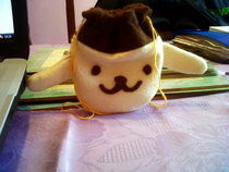 Diy: Purin Pouch