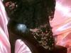 Small_imag4323