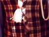 Small_dsci0129