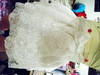 Small_stutffffsss_017