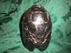 Small_picture_002