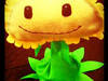 Small_2012-05-06-02-15-53