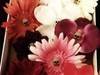 Small_imag0218