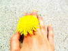 Small_066