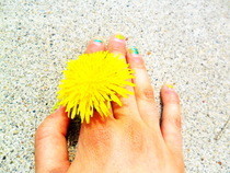 Summer Fun! Part 1