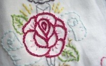 Split Stitch