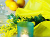 Glass Candle Holder