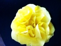 Scrunch Fabric Flower Pom Pom Headband